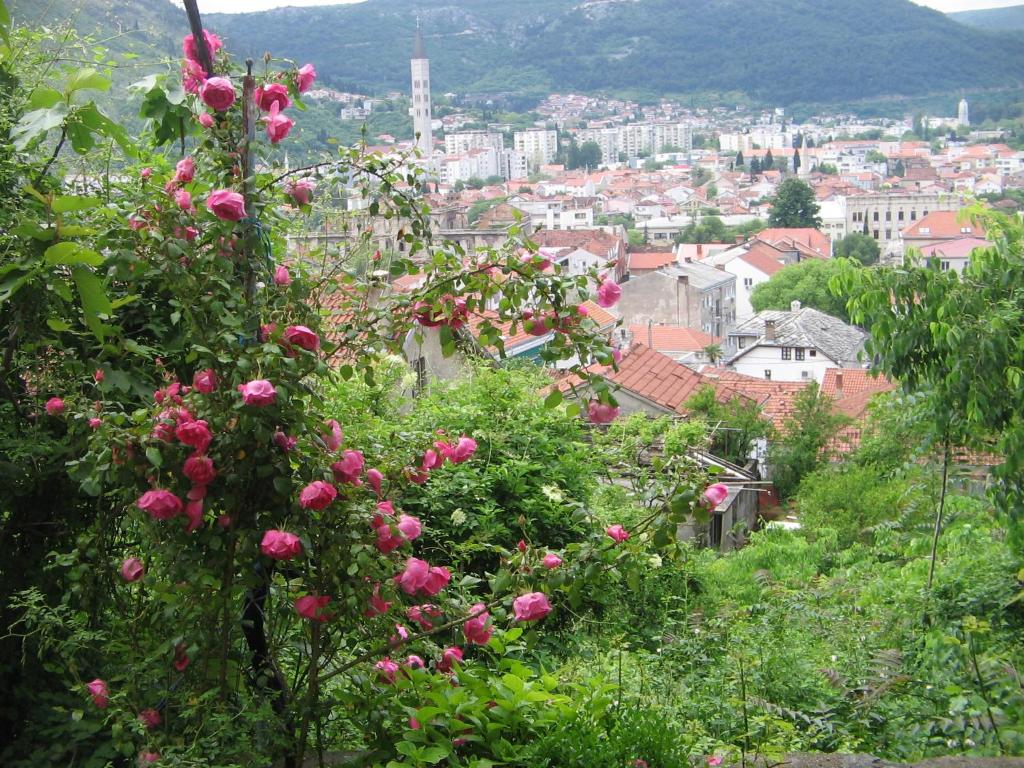 a view of a city with pink roses at Guesthouse Panorama in Mostar