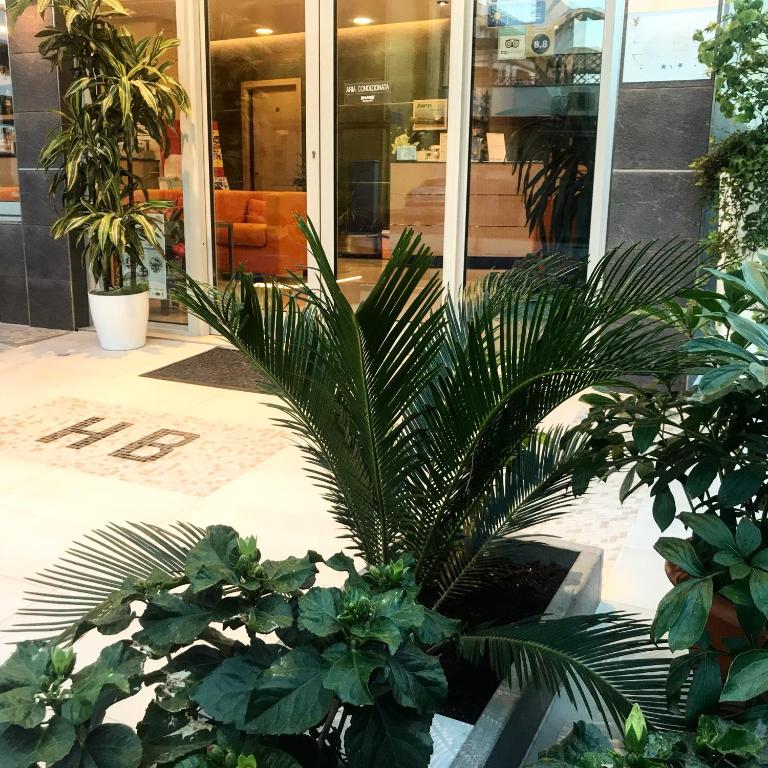 a palm tree in front of a building at Hotel Bologna in Lignano Sabbiadoro