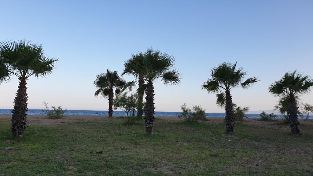 Vista Marina - Resim 35