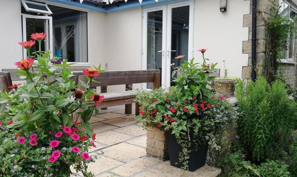 Wedgewood Annexe - All the comforts of home - One-Bedroom Apartment