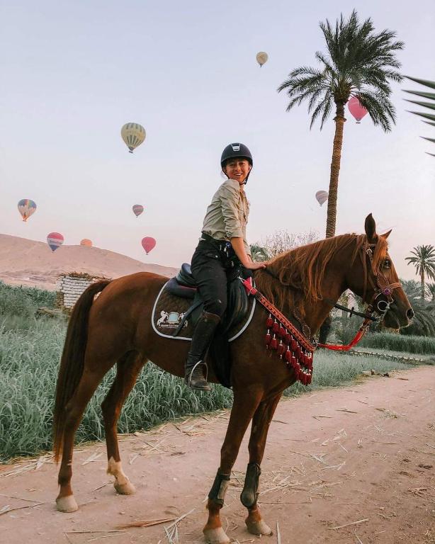 Spirit Luxor Luxury - 19