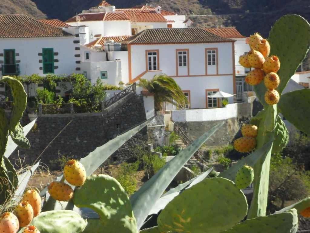 テヘーダにあるCasa Rural Las Cáscaras Tejeda Gran Canariaの家とサボテンの眺め
