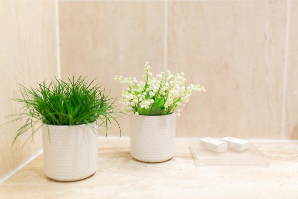 Two small white pots with grass and white bell flowers on bathroom ledge