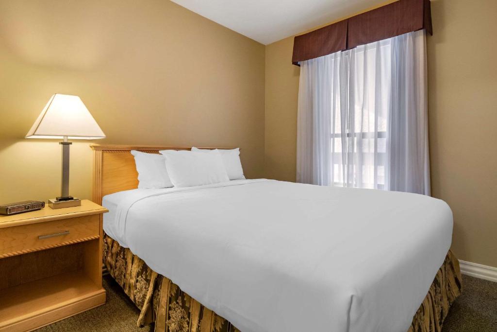 Postel nebo postele na pokoji v ubytování Econo Lodge Inn & Suites