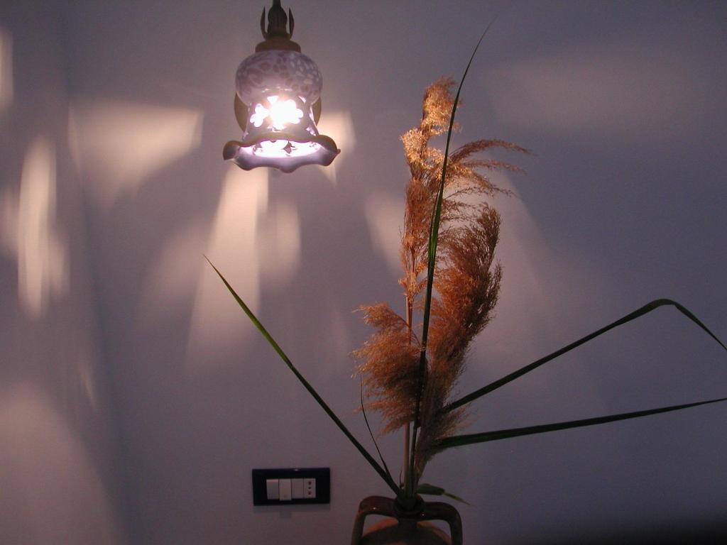 Fotografie z fotogalerie ubytování Hotel A Cannata v destinaci Santa Marina Salina