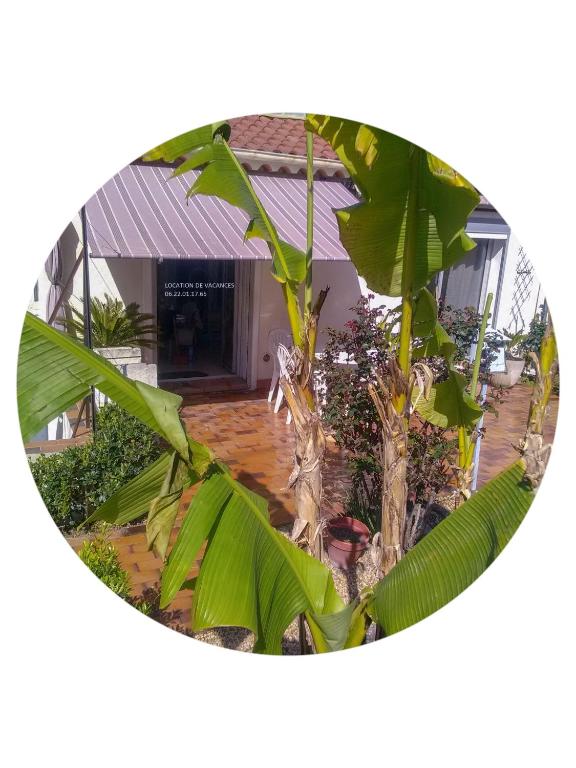 Photo de la galerie de l'établissement meublé de tourisme Anne Bouchard, à Béziers