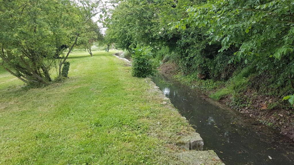 a small stream in a grassy field next to a river at Moulin de Giboudet Chambres d&#39;hôtes in Bazainville