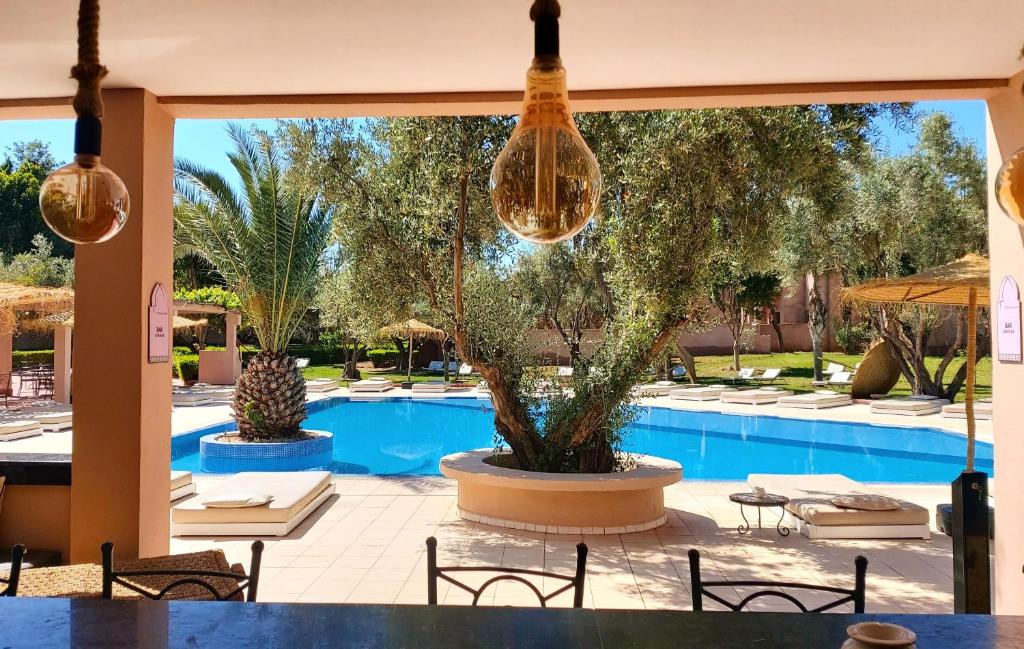 una piscina con sillas, una mesa y luces en La Maison Des Oliviers, en Marrakech