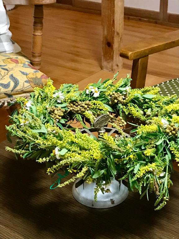 a plant in a white vase on the floor at Travelers House おーさんてぃん青空舎 in Taketomi