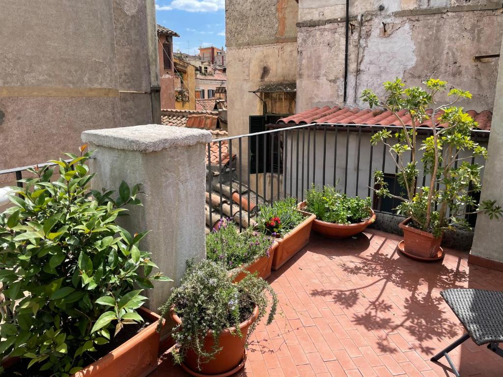 un patio con un mucchio di piante in vasi di Campo de fiori Palace a Roma