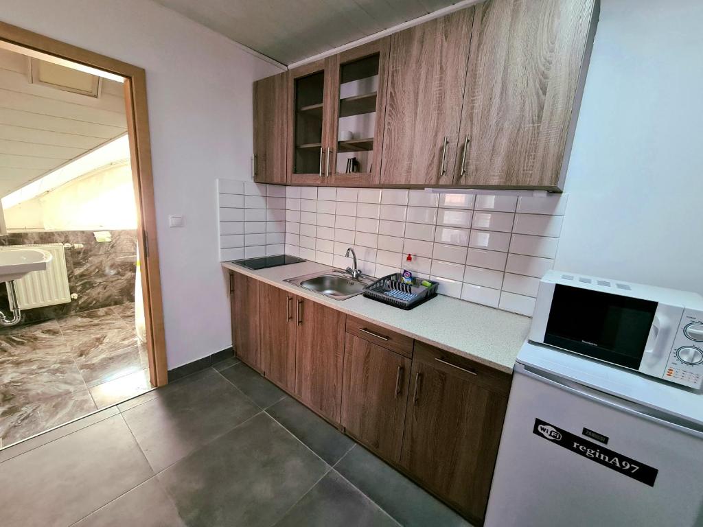 Kuchyňa alebo kuchynka v ubytovaní Regina Apartman Hegykő