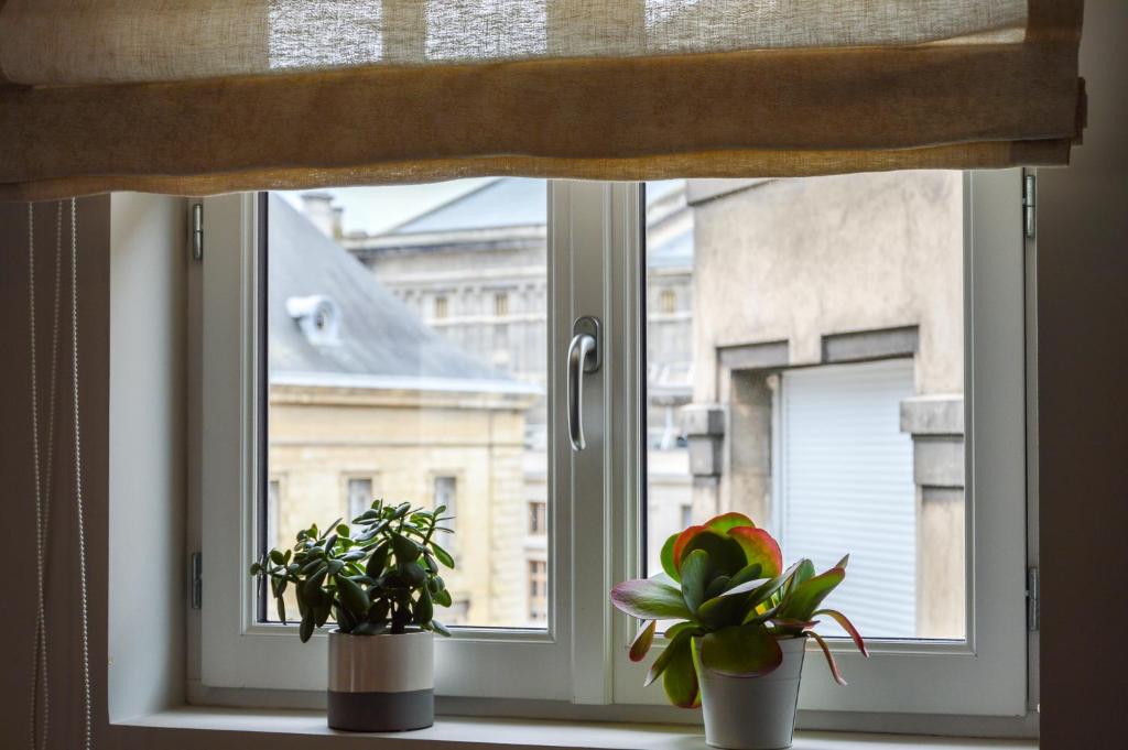 Les Berceaux de la Cathedrale - 11