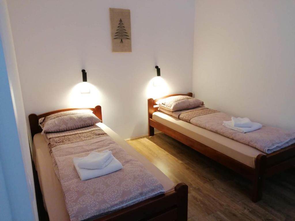 two twin beds in a room with two lights at Nikolića kuća in Mitrovac