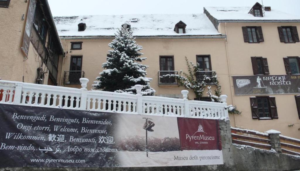 a christmas tree on a banner in front of a building at Hostel Baqueira - Refugi Rosta - PyrenMuseu in Salardú