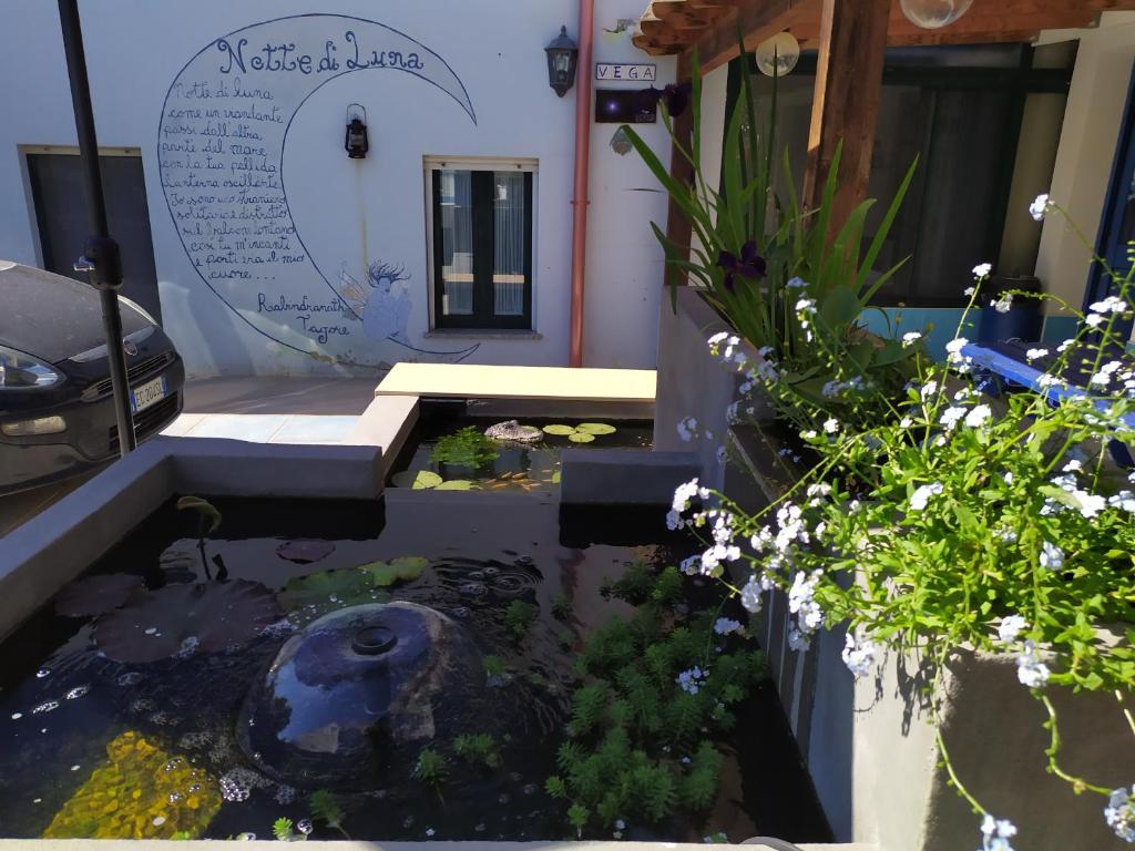 Zahrada ubytování B&B Luna Blu