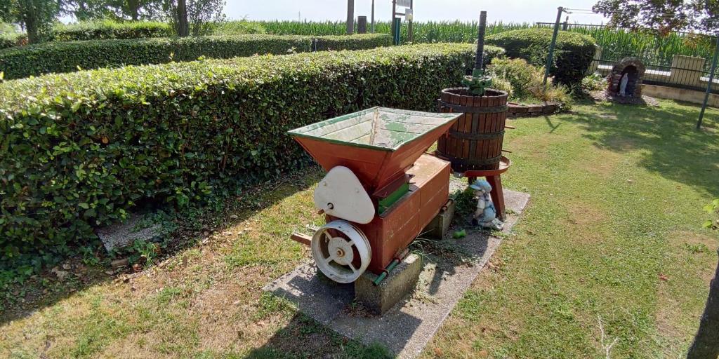 Ogród w obiekcie Agriturismo La Fraterna