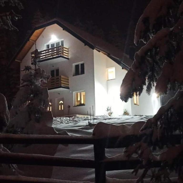 a house in the snow at night at Nikolića kuća in Mitrovac