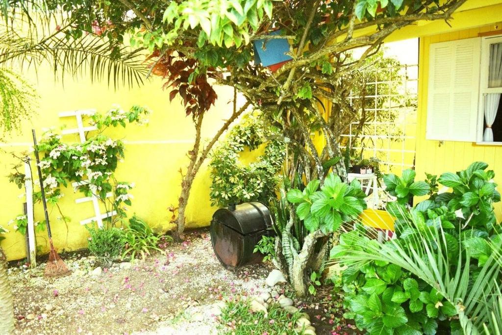  Casa Amarela Próxima à Praia
