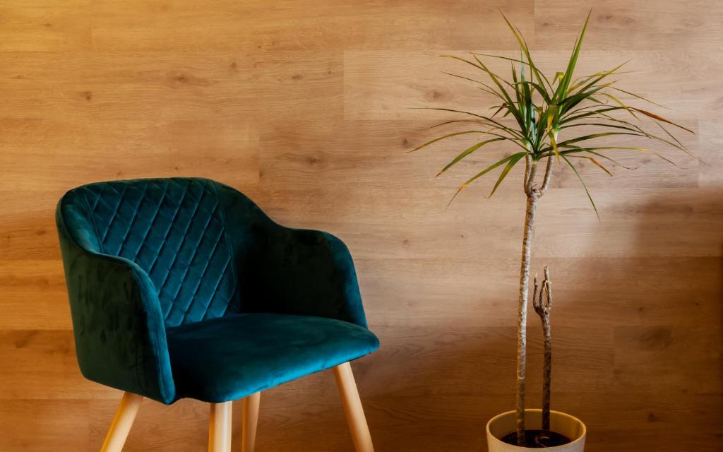 ParrApartamentos Cáceres - 18