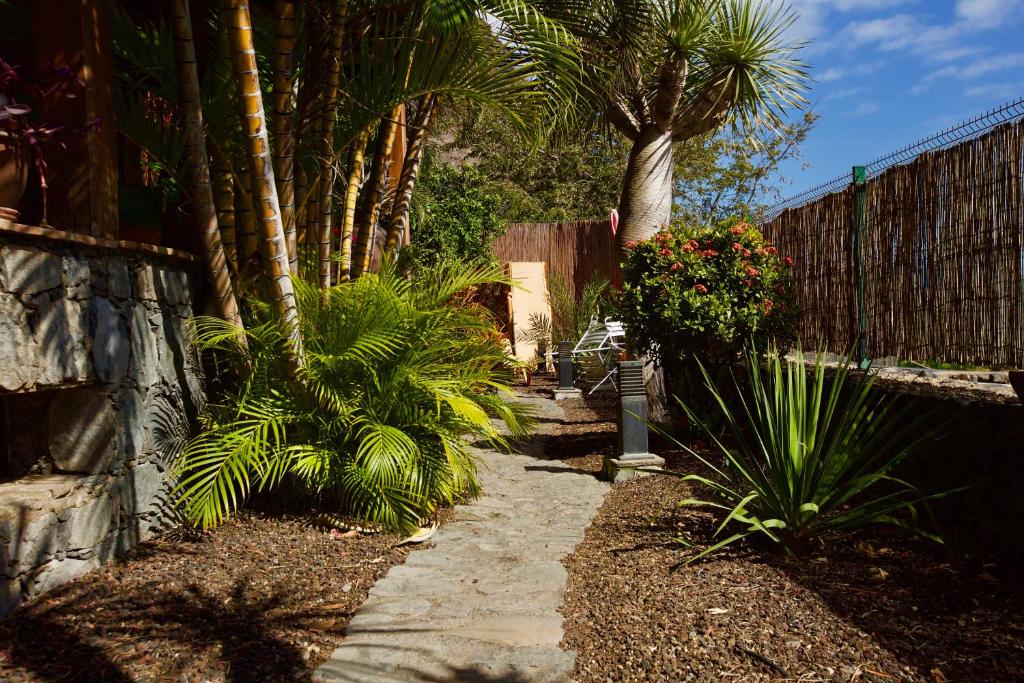 een tuin met palmbomen en een stenen pad bij Finca Eva-Adults 0nly in La Playa Calera
