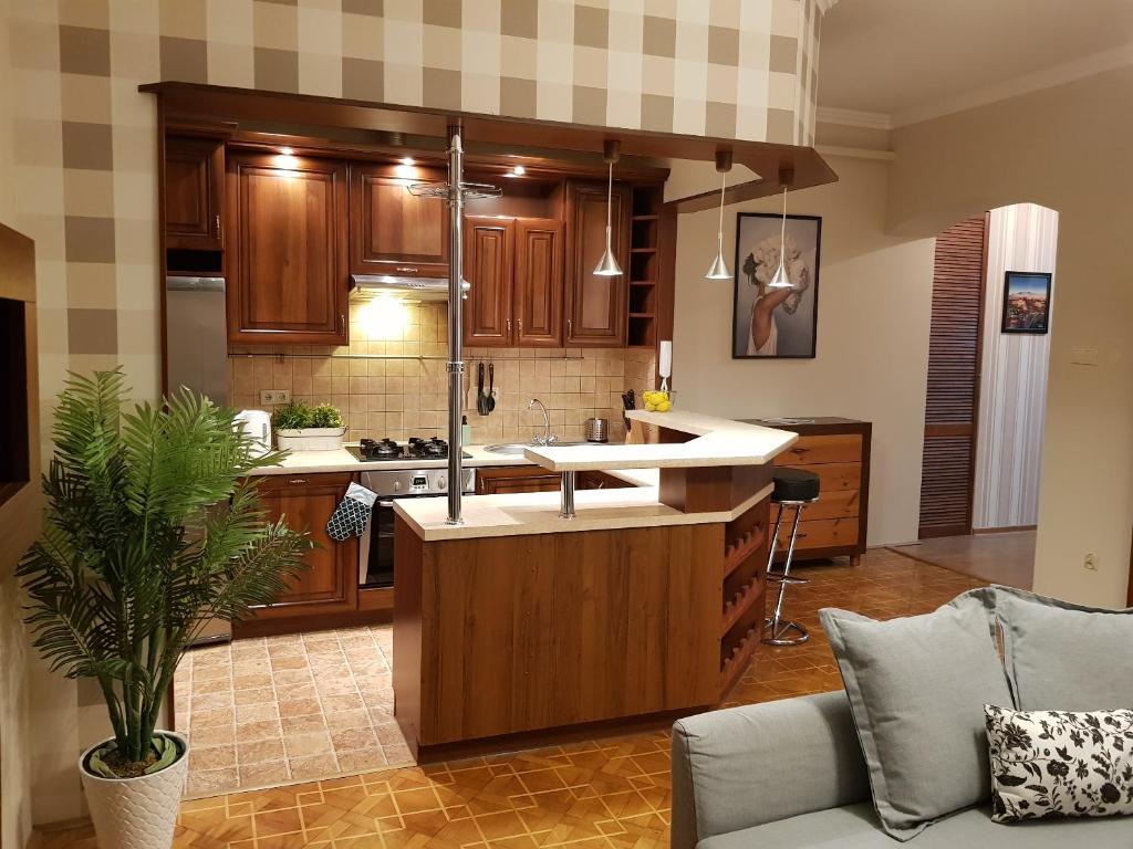 Kuchyňa alebo kuchynka v ubytovaní Apartament Peowiaków Superior