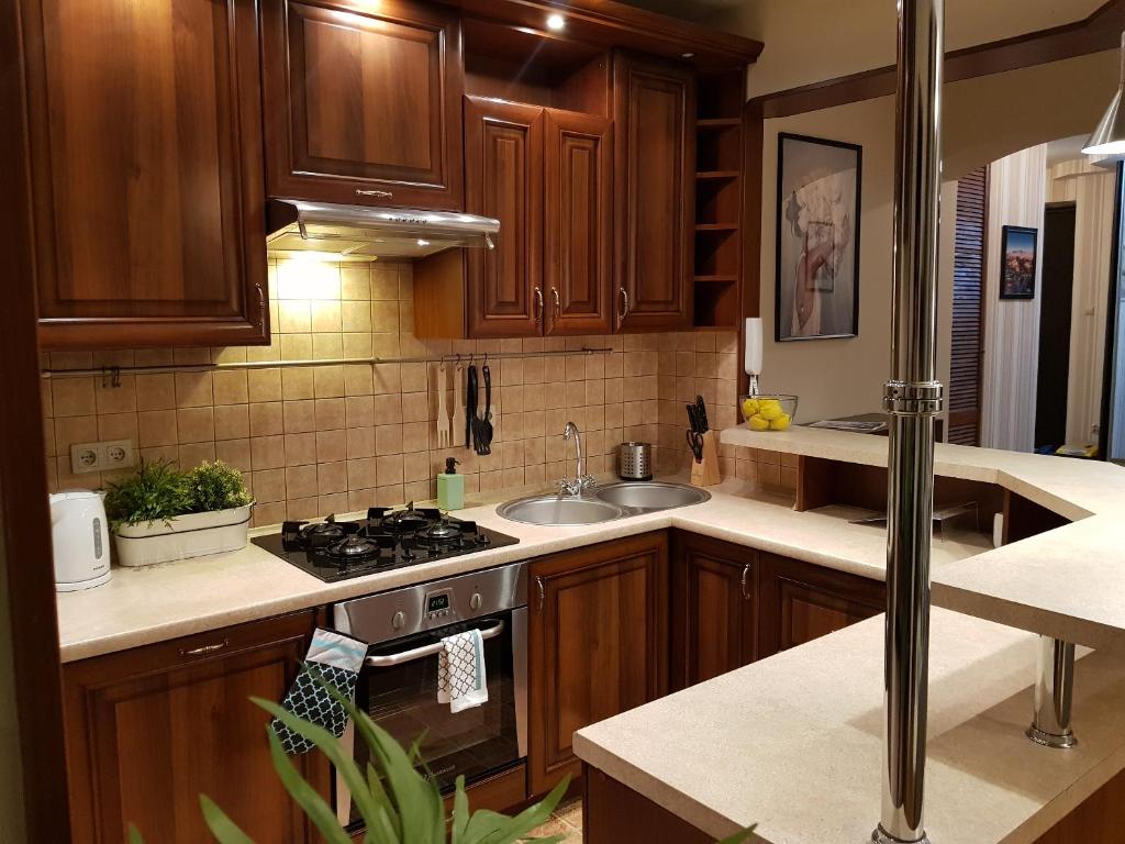 Kuchyňa alebo kuchynka v ubytovaní Apartament Peowiaków Superior