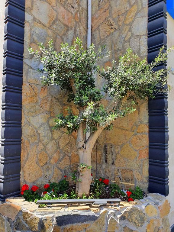 Home Mood Apart Hotel - 4