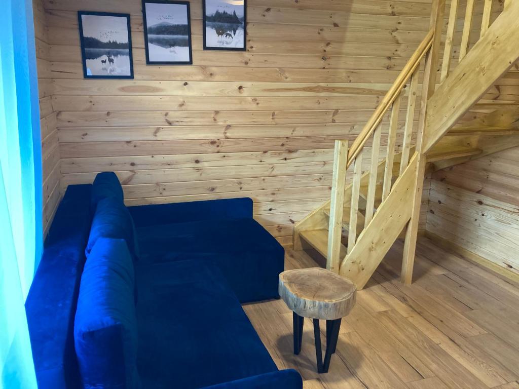 Domki i Apartamenty Wieleń - 
