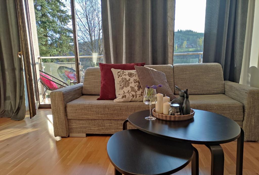 Posezení v ubytování Apartamenty Czerwone Maki Wisła