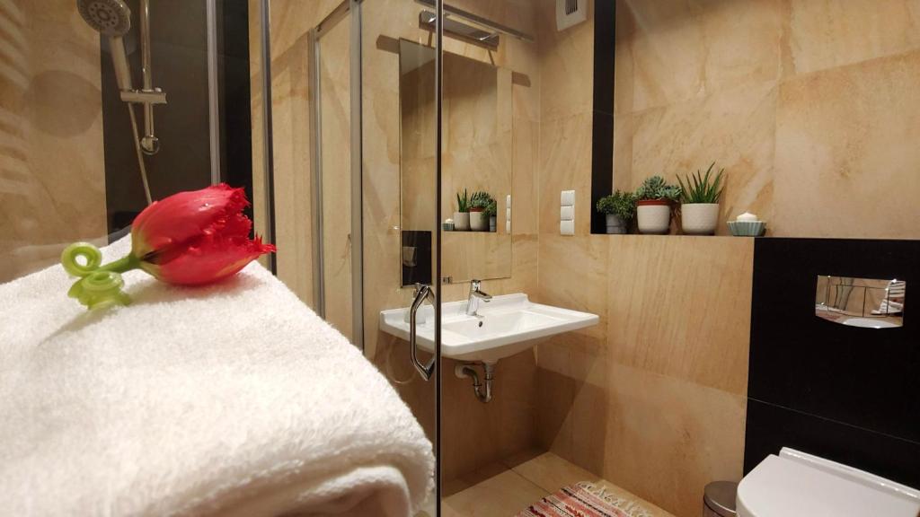 Koupelna v ubytování Apartamenty Czerwone Maki Wisła