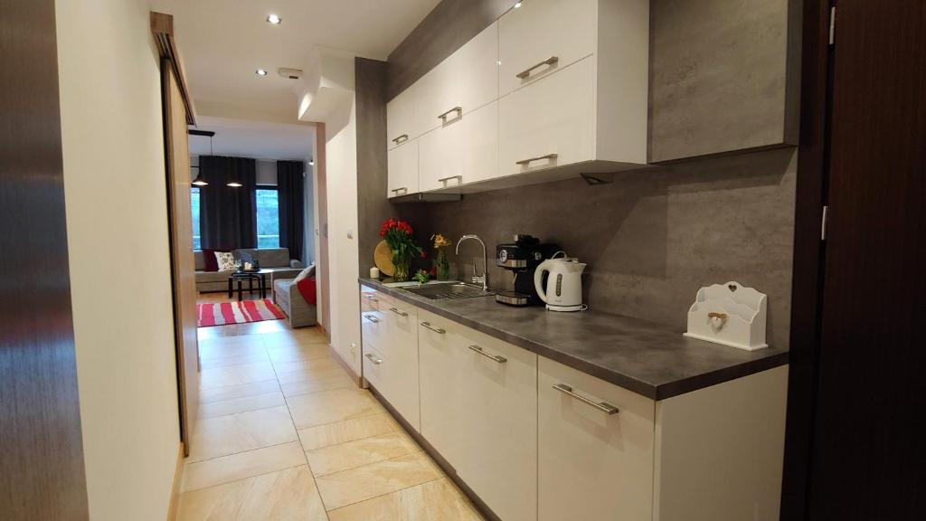 Kuchyň nebo kuchyňský kout v ubytování Apartamenty Czerwone Maki Wisła
