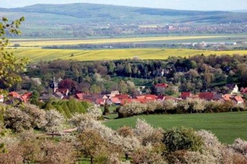 Příroda nedaleko apartmánu