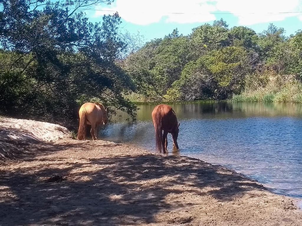  Pousada Beira Rio