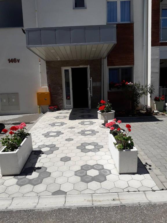 Studio apartman Dani - Apartamento De Um Quarto