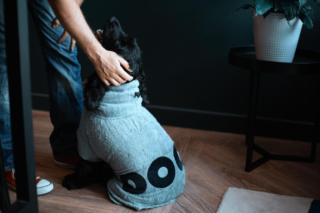 The Blue Hotel Bondi - Resim 33