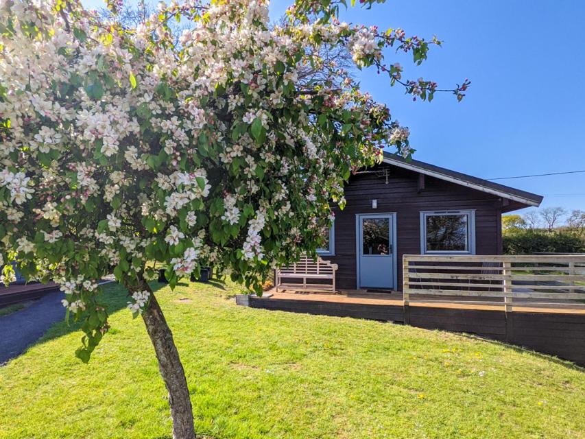 Zahrada ubytování Avallon Lodges