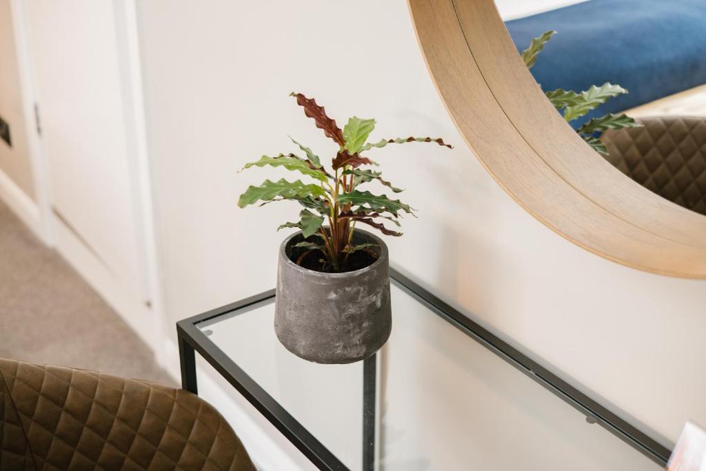 The Borough - Resim 22