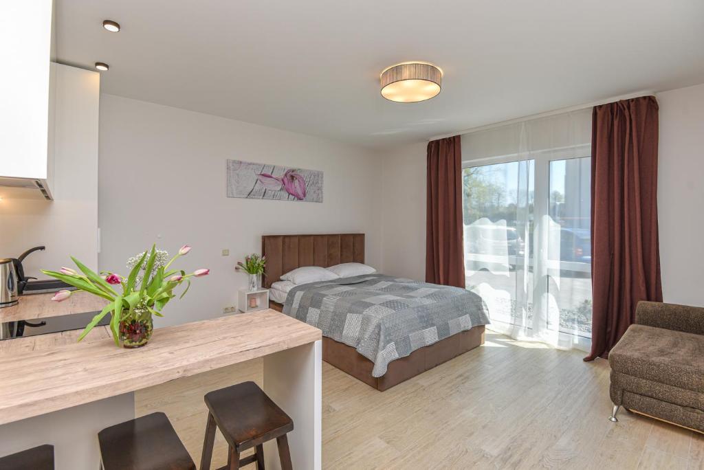EGITOS apartamentai - Estudio Con Terraza