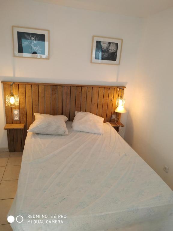 1 dormitorio con 2 almohadas blancas en T3 VUE ETANG, en Balaruc-les-Bains