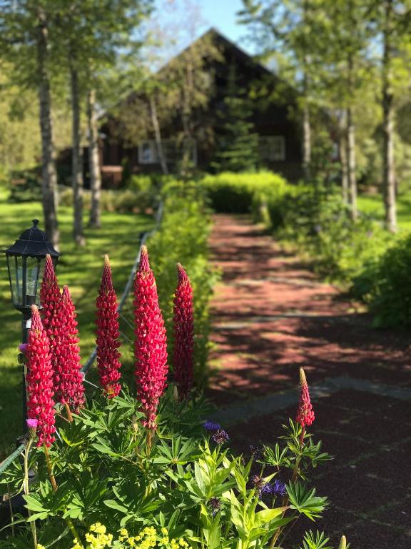 Giardino di Blue Hotel Fagrilundur - On The Golden Circle