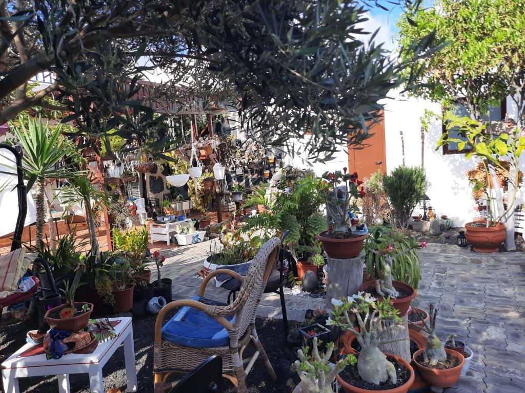Apartamento tranquilo - Квартира с одной спальней