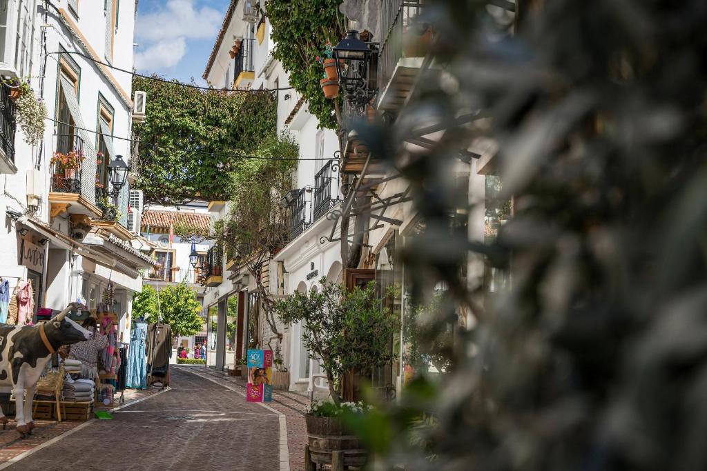 Óbal Hotel Marbella - Resim 42