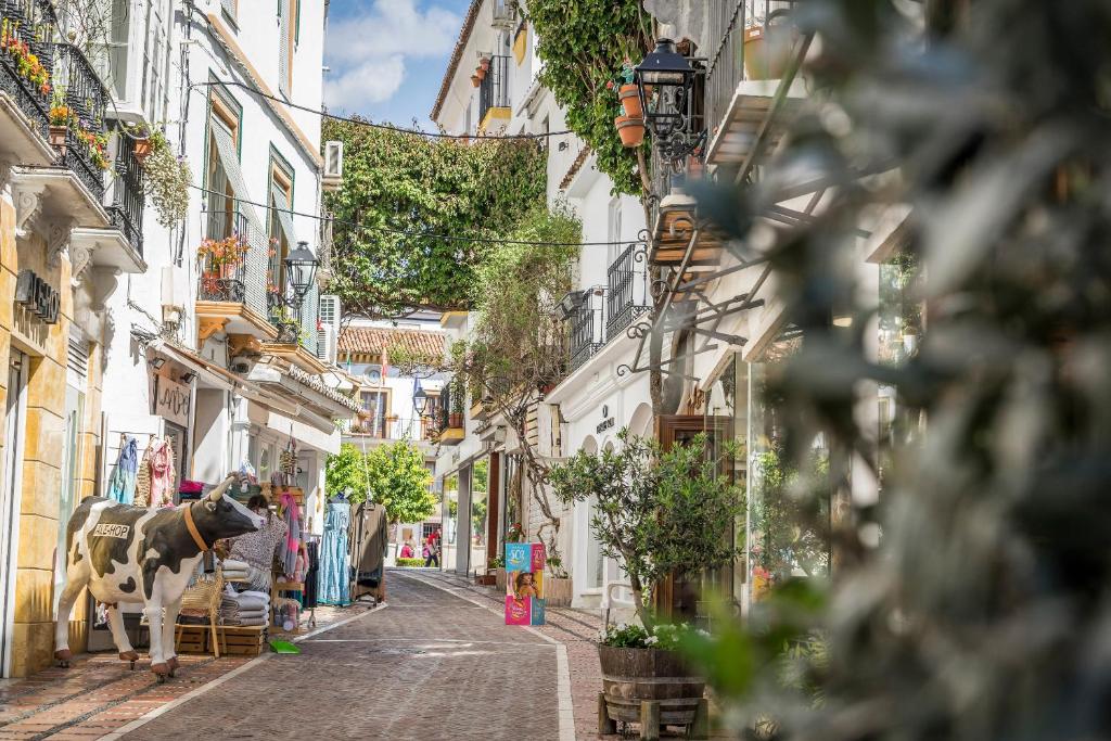 a cow standing in the middle of a street at Óbal Hotel Marbella in Marbella