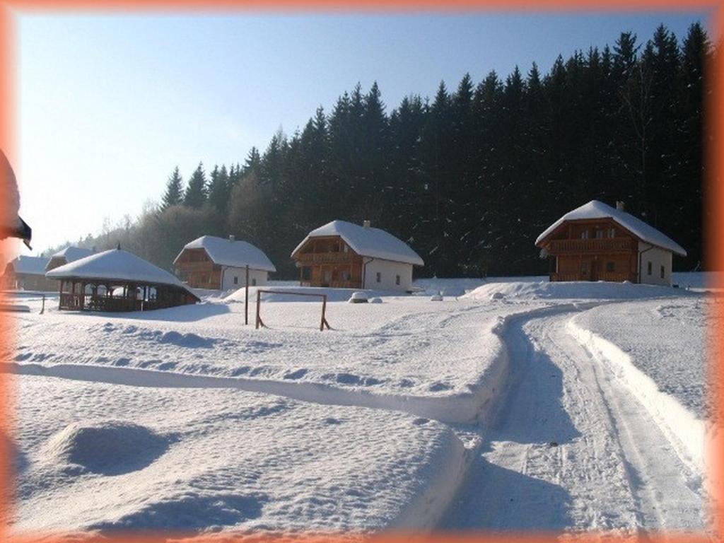 Zdjęcie z galerii obiektu Motylek 8 w mieście Borušov