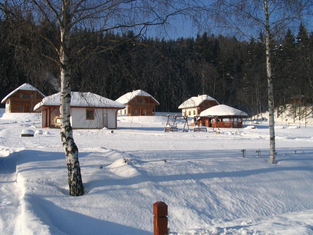 Zdjęcie z galerii obiektu Motylek 8 w mieście Borušov