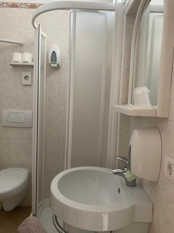 Koupelna v ubytování Hotel Modenese