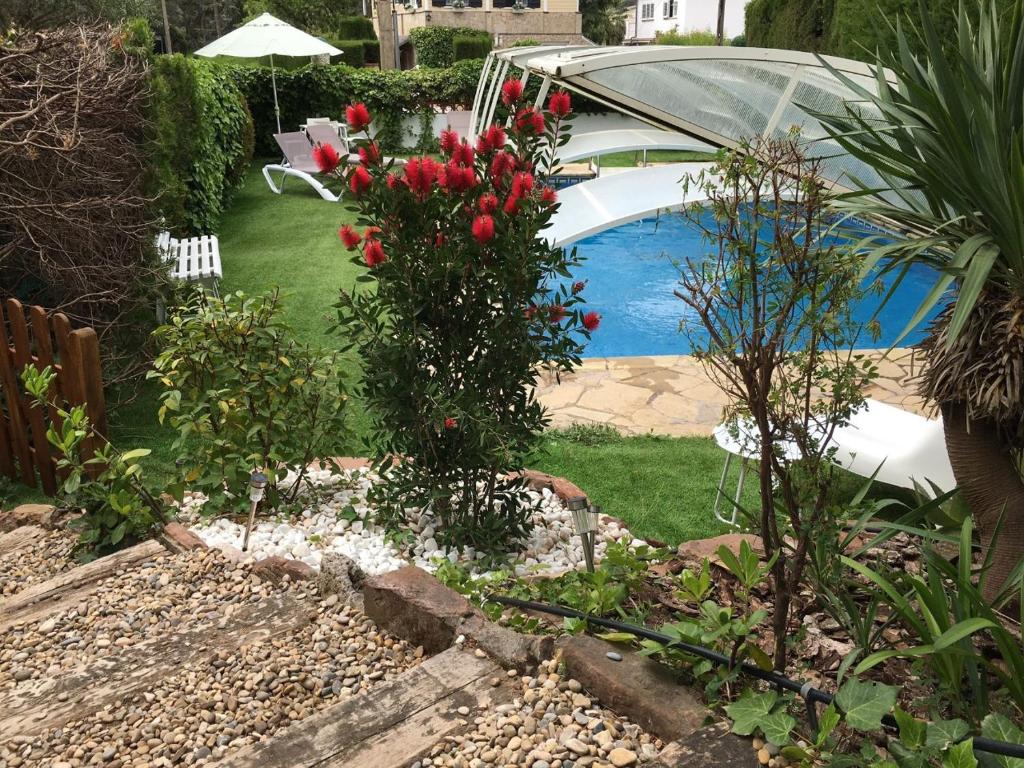 a garden with red roses and a swimming pool at Casa familiar con piscina in Pallejá