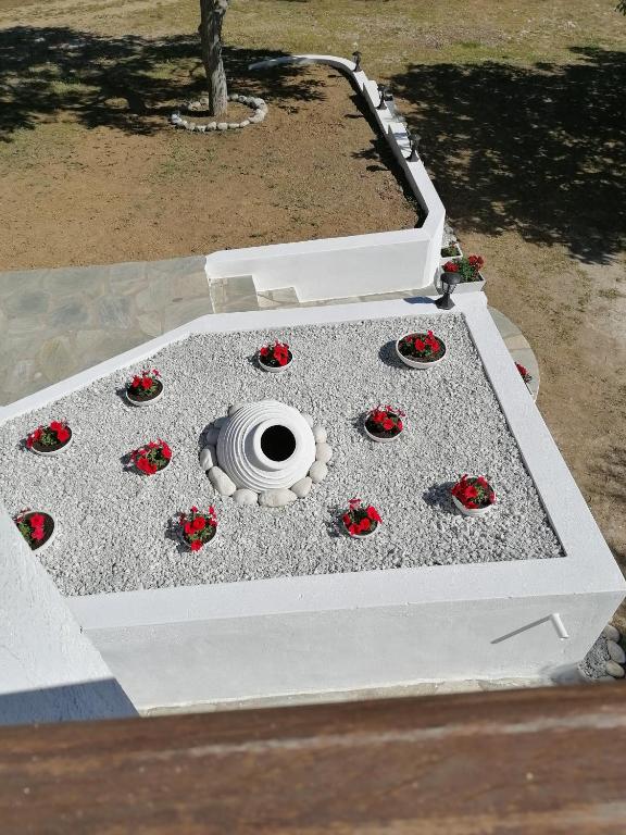 Fotografie z fotogalerie ubytování Limnonari Beach Rooms v destinaci Skopelos Town