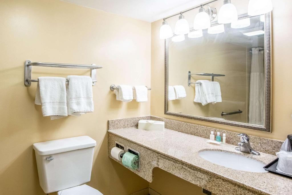 Econo Lodge Naval Station Norfolkにあるバスルーム