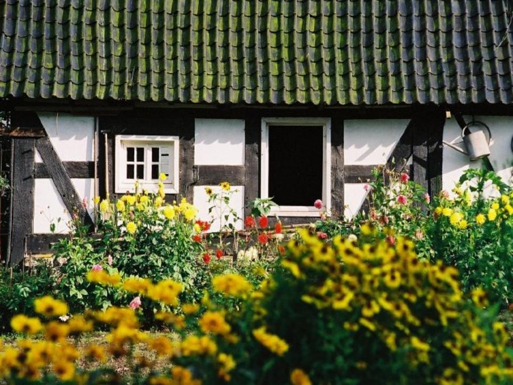 Zahrada ubytování Ferienhof Richard